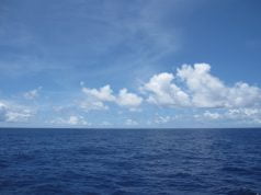 Kako plivanje u moru djeluje na vaše zdravlje