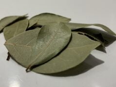 Biljka protiv kašlja i za ublažavanje bronhitisa