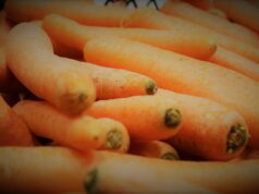 Zašto žene trebaju piti sok od mrkve svaki dan