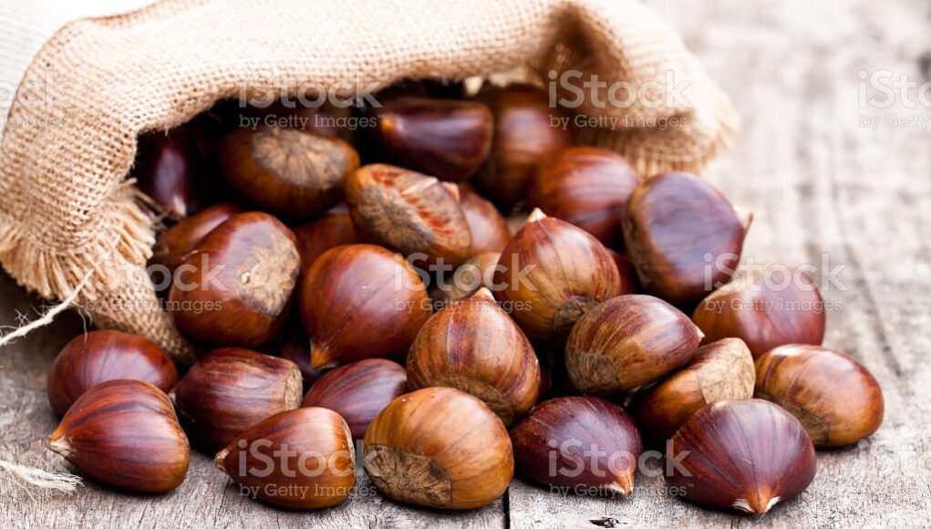 fresh  chestnuts in sack bag on the old wooden table