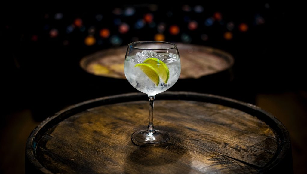 gin_limun_casa