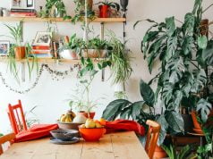 Indijski feng šui upozorava šta nikako ne treba raditi u kući