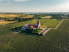 Ukusi Srbije: Putovanje koje se pamti svim čulima