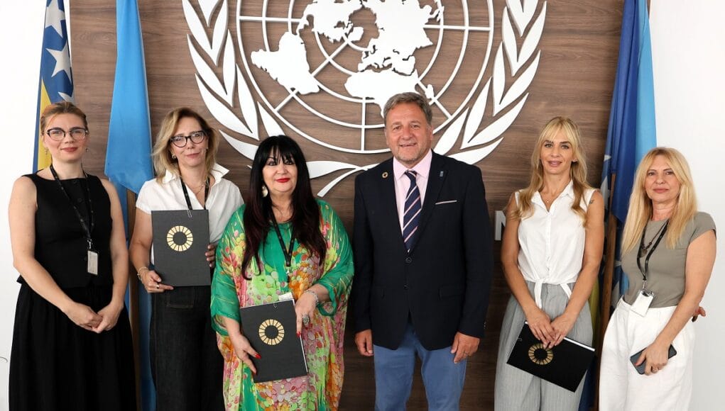 undp_bih_grants (4)